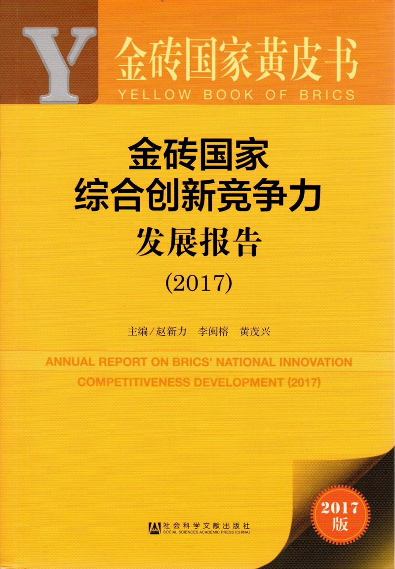 老太太操屄BBB“金砖国家综合创新竞争力发展报告（2017）